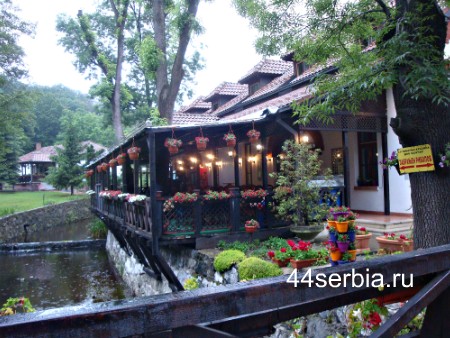 Сербия ресторан
