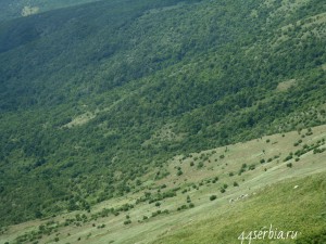 Горный пейзаж, Ртань, Сербия