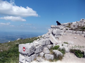 Вершина горы Ртань в Сербии