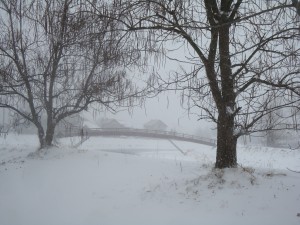 Сербия зимой фото