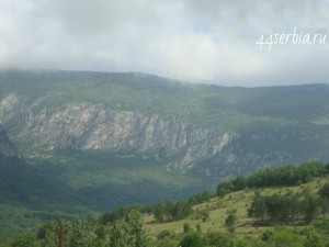 Горы Сербии, травы на сербском