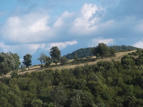Красивая поляна в Восточной Сербии