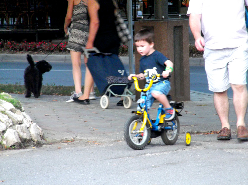 Малыш на велосипеде