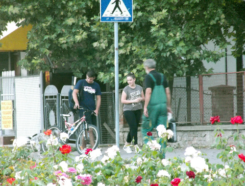 Велосипед и розы