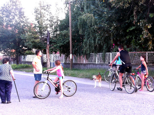 Семейная велосипедная прогулка
