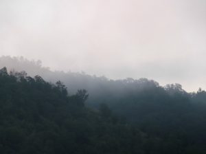 Утро туманное фото