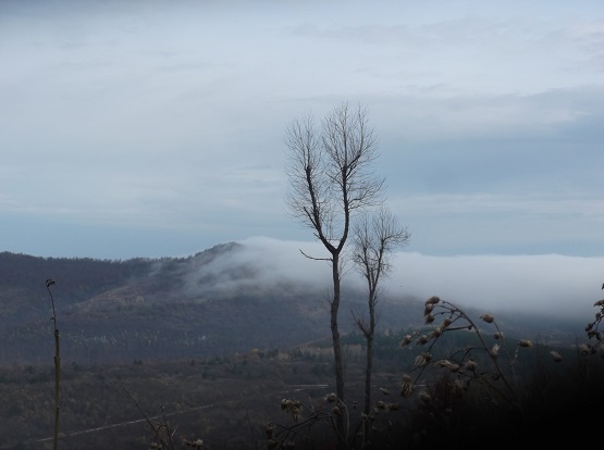 Скоростной туман в окрестностях горы Ртань