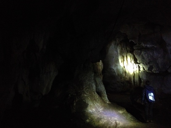 Сеселац пещера